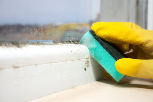 Best Mold Prevention Services  in Roseville, CA